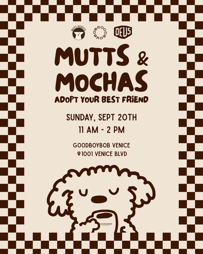 Mutts & Mochas | Venice