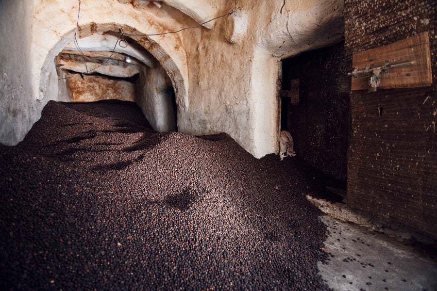 Monk of Mokha Rare Coffee Bundle