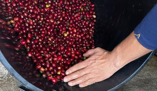 Ecuador Finca Cruz Loma