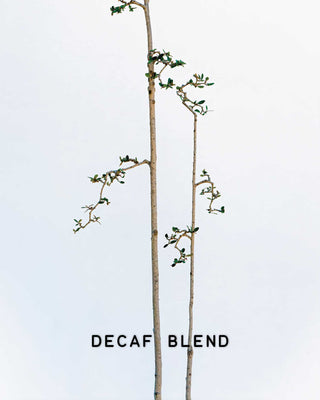 Decaf Blend