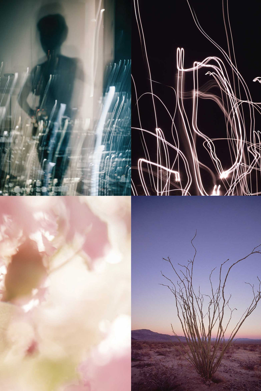 Single-Origin Coffee Subscription