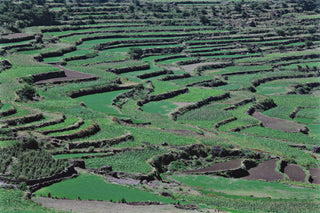 Port of Mokha Al-Khanshali Estate I Yemen