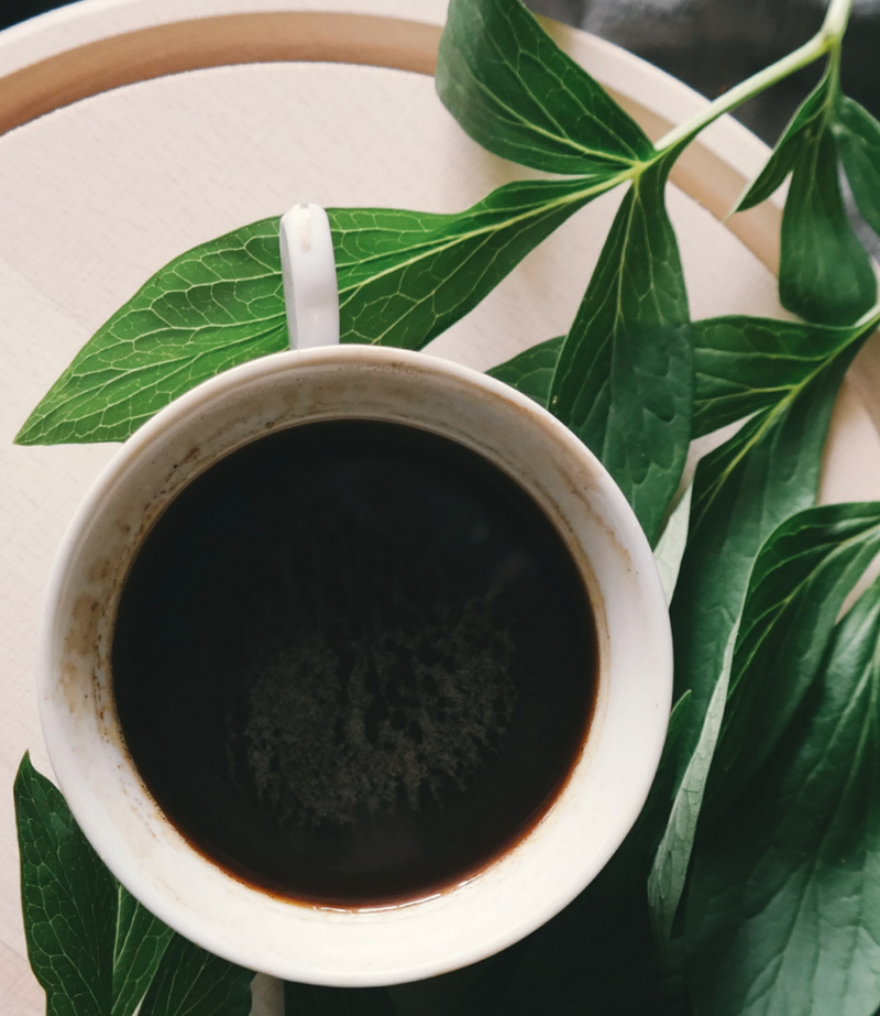 Panama Classic Reserve Finca Lerida