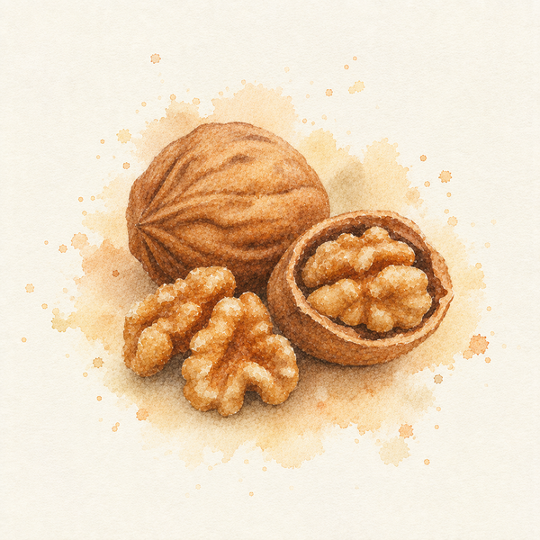 Walnut
